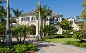 Beetle Lawn & Ornamental Fertilization and Pest Control